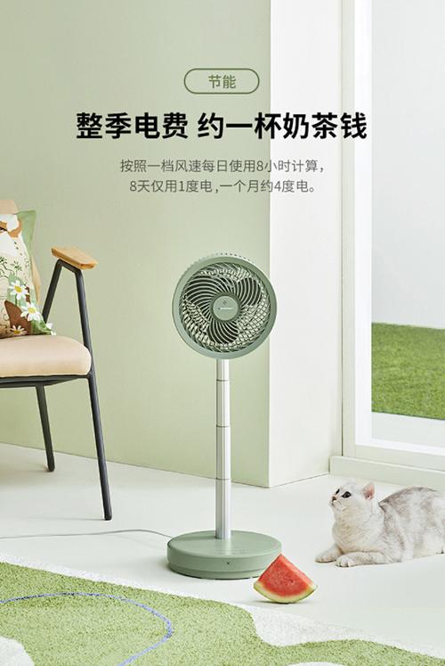 蓝宝空气循环扇家用涡轮对流遥控台地两用式摇头定时落地扇电风扇t